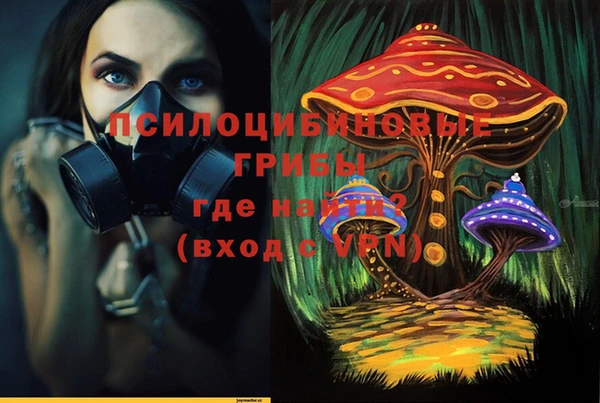гашик Медвежьегорск