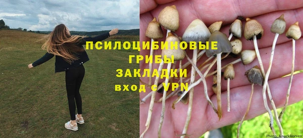 шишки Михайловка